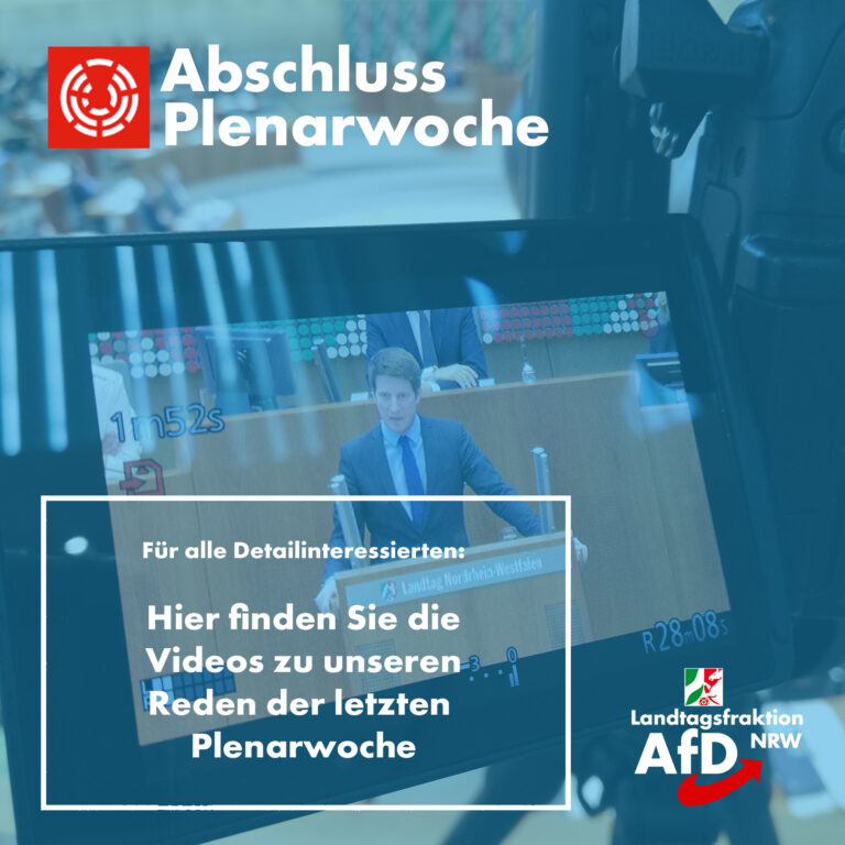 Reden des Plenums im März 2019
