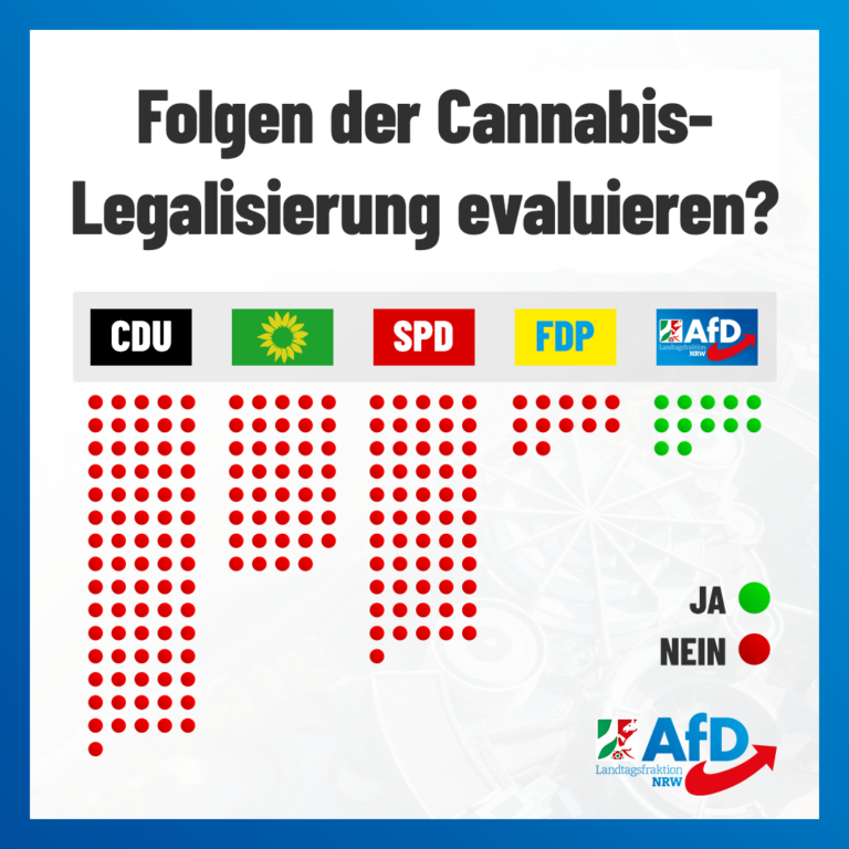 Abstimmung Cannabis Antrag