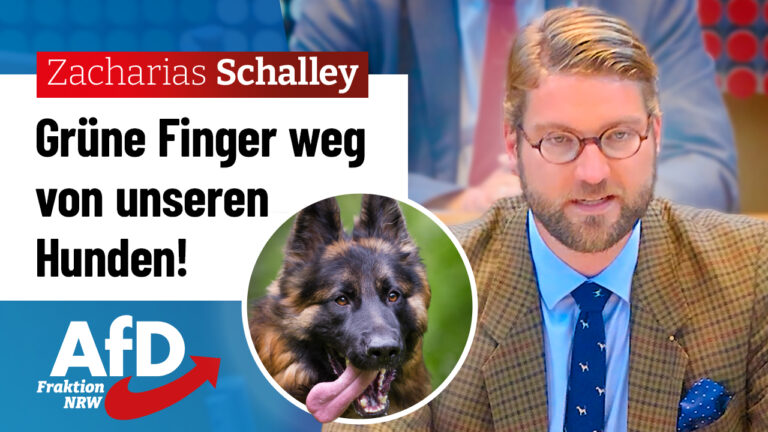 NW LT V 2025 05 22 TOP16 Schalley Zacharias Thumbnail 01