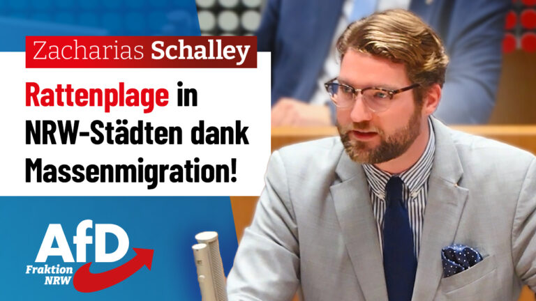 Reden 6 Thumbnail 01 9