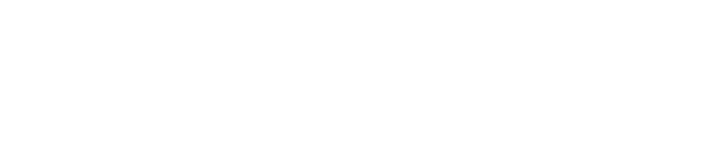 Westfalenkonferenz AfD